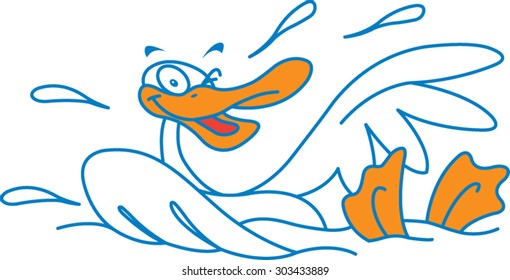 Swimming duck