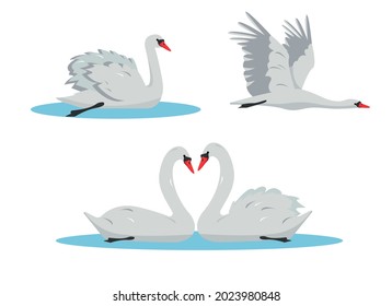 Swimming and flying swan birds collection. White Swans in different poses isolated on white background. Birds cartoon icon set vector illustration for nature design.