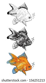 Swimming goldfish with bubble