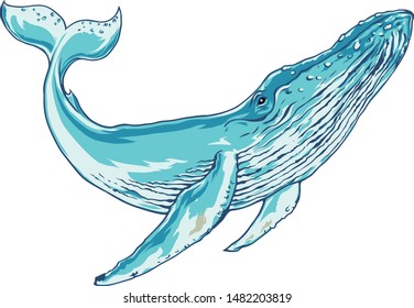 Swimming great whale vector illustration 