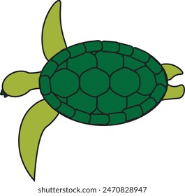 Swimming green turtle as viewed from above graphic illustration