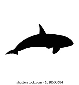 Swimming Killer Whale (Orcinus Orca) On a Side View Silhouette Found In Ocean and coastal waters worldwide. Good To Use For Element Print Book, Animal Book and Animal Content