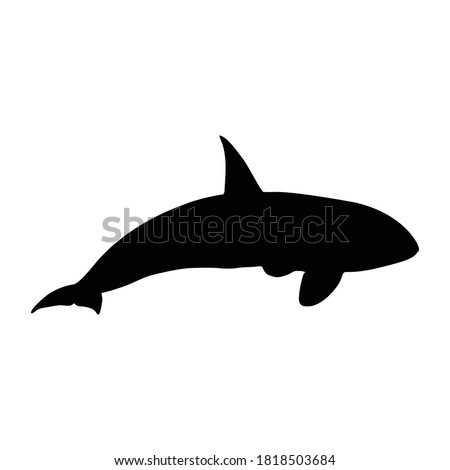 Swimming Killer Whale (Orcinus Orca) On a Side View Silhouette Found In Ocean and coastal waters worldwide. Good To Use For Element Print Book, Animal Book and Animal Content