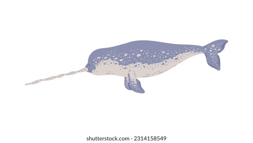 Swimming narwhal with tusk, flat vector illustration isolated on white background. Marine mammal drawing. Sea animal for kids and nursery designs.