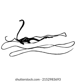 Swimming plesiosaur. Loch Ness Monster. Nessie. Hand drawn linear doodle rough sketch. Black silhouette on white background.