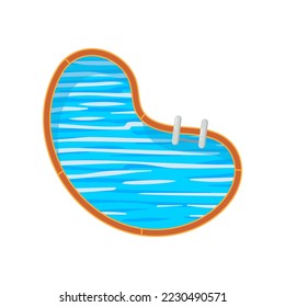 Ilustración vectorial de la piscina. Vista superior de las piscinas con agua y escalera para estar aisladas de fondo blanco. Vacaciones, verano, recreación, concepto deportivo