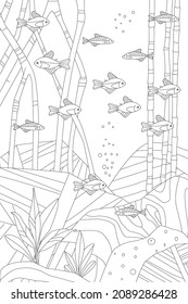 swimming school of little fish among roots of mangrove above of stone bottom with seaweed. underwater scene for your coloring book