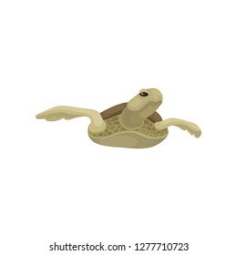 Swimming sea turtle reptile animal vector Illustration on a white background