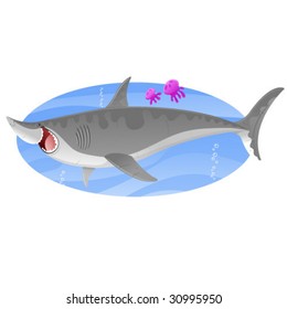Swimming Shark