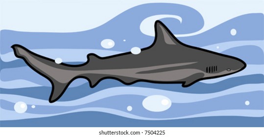 Swimming shark