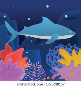 The Swimming Shark In Sea