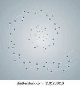 Swimming sperm,Form the shape of the swirl.Background is gray.