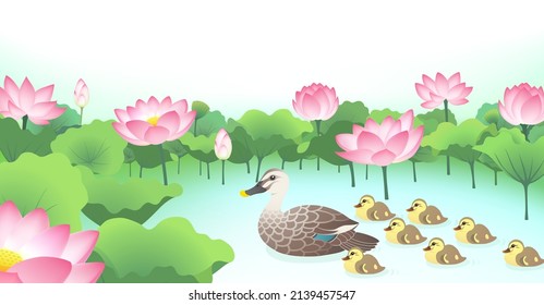 Swimming spot-billed duck family in the lotus pond