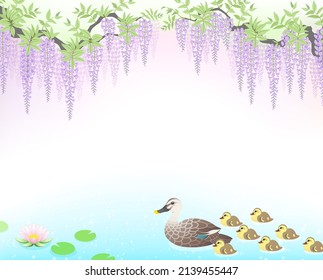 Swimming spot-billed duck family under the violet wisteria flowers