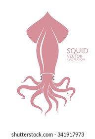 Swimming squid. Logo. Isolated squid on white background. Vector illustration