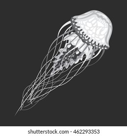 Swimming stripping medusa or jellyfish, jellies or blubber with stinging tentacles and pulsating bell. Marine spineless non-polyp animal, hydrozoa or scyphozoa. Sea and ocean tattoo or mascot theme