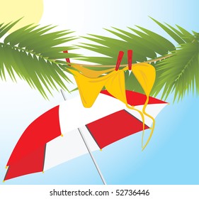 Swimming suit dries on the branches of palms. Vector