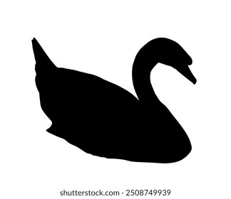 Swimming swan vector silhouette illustration isolated on white background. Wildlife big bird in nature habitat. Swan shape shadow. River or lake animal.