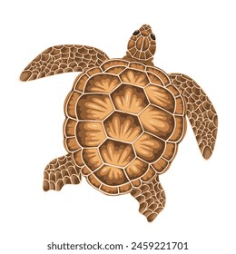 Tortuga nadadora, mar de dibujos animados y animal marino. Vista superior de tortuga lenta marrón con concha, divertido reptil submarino de arrecifes de coral y aguas tropicales, Ilustración vectorial de tortuga de buceo de dibujos animados