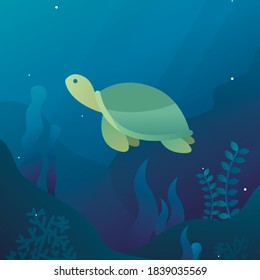 swimming turtle under the sea