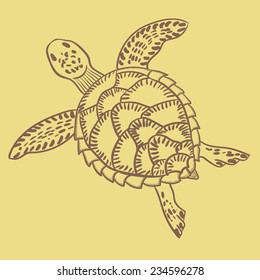 Swimming turtle vector