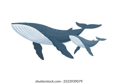 Swimming whale with baby whale, Cartoon sea and ocean animals, Cute giant blue aquatic mammal with fins and tail, Diving underwater humpback whale, wild nature and marine wildlife vector illustration.