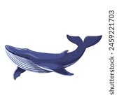 Swimming whale, cartoon sea and ocean animal. Cute giant blue aquatic mammal with fins and tail, cartoon diving underwater humpback whale, wild nature and marine wildlife vector illustration