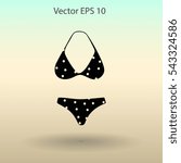 Swimsuit vector illustration
