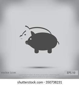 SWINE silhouette and outline vector icon