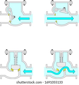 Swing check valve and spring loaded check valve