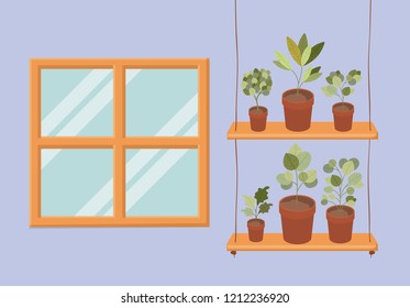 swing with houseplants in pots