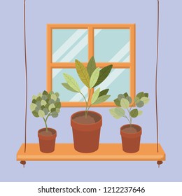 swing with houseplants in pots
