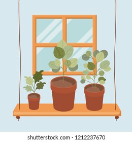 swing with houseplants in pots