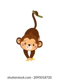 Swinging happy monkey. Animal updown on tropical tree. African characters. Exotic, zoo, nature, fresh air and outdoor. Sticker or badge. Cartoon flat vector illustration isolated on white background