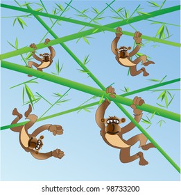 Swinging Monkeys on Bamboo