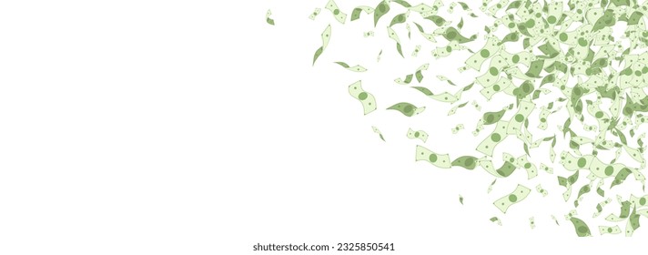 Schwirl Konfetti, weißer panoramischer Hintergrund. Geld-Scatter-Banner. Cartoon Paper Dollar Flyer. Fallende Bescheinigung über den Währungsüberfluss.