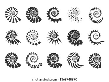 Swirl design element. Spiral icon. Set twisting lines isolated on white background. Seashells vector.