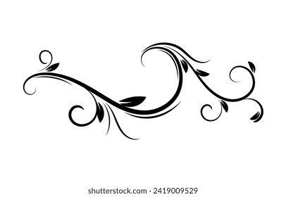 swirl floral leaves vector illustration design.