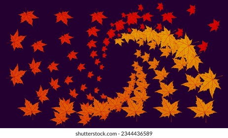 Swirl geometric pattern of colorful Fallen yellow orange red maple leaves isolated on dark background. Bright acer leaf vortex. Autumn color template. Poster. Flyer. Celebration Card. Fall season.