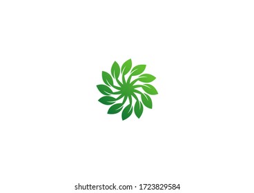 Swirl green leaf vector logo design template