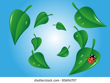 swirl of leaves with ladybug