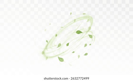 A swirl of light green leaves with translucent swirls on a transparent background. Suitable for nature, freshness and ecology concepts.