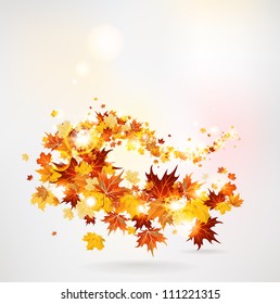 Swirl of maple leaves