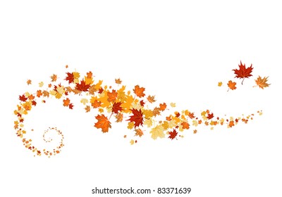 Swirl of maple leaves