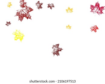Swirl of maple leaves. Canadian symbol maple red orange yellow dry autumn leaves. Autumn background.