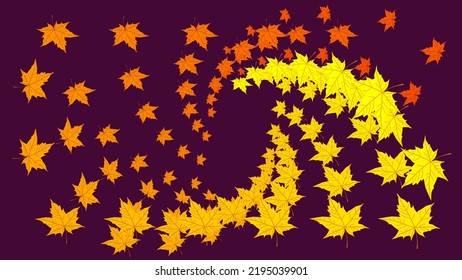 Swirl pattern of colorful Fallen yellow orange maple leaves isolated on dark purple brown background. Bright acer leaf vortex. Autumn color template. Poster. Flyer. Celebration Card. Fall season.