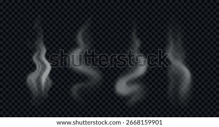Swirl and wavy steam and smoke. Vector illustration. White, semi transparent, realistic vapor isolated on dark background 