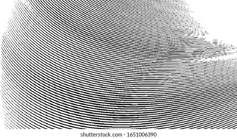 Swirled and curled stripes and brush strokes texture. Marble or acrylic atrwork imitation. Cool and swirly background. Abstract vector illustration. Black isolated on white. EPS10 