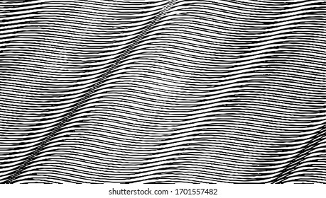 Swirled and curled stripes and brush strokes texture. Marble or acrylic atrwork imitation. Cool and swirly background. Abstract vector illustration. Black isolated on white. EPS10 