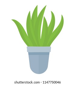 
Swirling leaves on an plant depicting sansevieria trifasciata 

